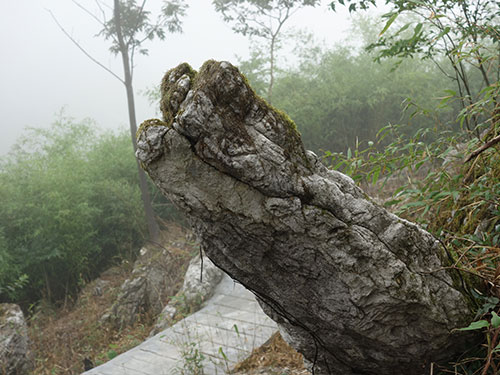 神秘石林