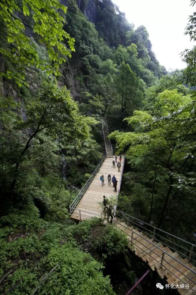 湖南旅游開發(fā)公司,懷化旅游開發(fā)公司,懷化峽谷探幽,懷化石林花山植物園